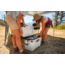 Coleman Convoy 55-Quart Hard Cooler, White/Black, CM1010810001-38
