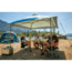 Coleman Oasis Onepeak 10x10ft Canopy, Moss, CM101031001-1