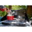 Coleman TRITION IS 2 Burner Propane Stove, Black, CM1011010003-3