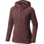 Columbia Darling Days Pullover Hoodie - Women's-Bloodstone Heather-Small