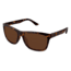 Columbia Mackenzie Mountain Sunglasses - Frame SHINY TORT, Lens Color Brown CBMACKENZIEMT02