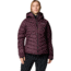 Columbia Roaring Fork II Down Jacket - Women's, Moonvista, Extra Large, 2085531607-XL