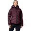 Columbia Roaring Fork II Down Jacket - Womens, Moonvista, Small, 2085531607-S