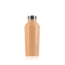 Corkcicle Classic Canteen, Tropical Delight, 9oz, 2009GTL