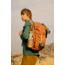 Cotopaxi Allpita Mini Bag