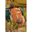 Cotopaxi Allpita Mini Bag