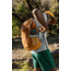 Cotopaxi Clase 28L Daypack