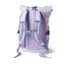 Cotopaxi Consuelo 22L Daypack