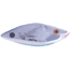 Cotton Cordell Super Spot Lipless Crankbait, Sinking, 3in, 1/2oz, Chrome/Black, C2504