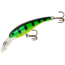 Cotton Cordell Wally Diver Crankbait, 2 1/2in, 1/4 oz, Floating, Fire Tiger/GL, CD5339