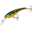 Cotton Cordell Wally Diver Crankbait, 2 1/2in, 1/4 oz, Floating, Gold Perch, CD595