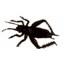 Creme Lures Floating Cricket, Natural, 2 Pack, 5000-01