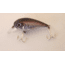 Creme Lures Pond Favorites Shallow Crankbait, Floating, Black Purple Back, 2 1/8in, 1 per Pack, CP36