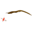 Creme Lures Scoundrel Worms