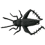 Creme Lures Small Black Cricket 2/Pack, 5148-22