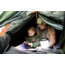 Crua Outdoors Combo Maxx Tent, Green/Gray/Orange, COMBO-M-01