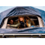 Crua Outdoors Crua AER Maxx Rooftop Tent, All Season, Multi-Purpose, Green/Grey, AERRTT-M-250