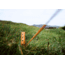 Crua Outdoors Storm Stake - 5pk