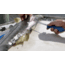 Cuda AquaTuff Fillet Knife with Blade Cover, Blue, 9in, 23047