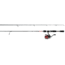 Daiwa D-Shock Freshwater Spinning Combo, DSH10-4BI/G502UL 190516