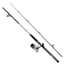 Daiwa D-Wave DWB SW Spin PMC DWB40-B/F702M