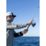 Daiwa Freams LT Spinning Fishing Reel