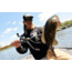 Daiwa Tatula Elite Baitcast Fishing Reel