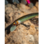 Daiwa HMKL Minnow Steez Custom Jerkbaits Lure, 5.4in, 4/7oz, Ghost Ayu, HM137SPK4