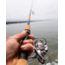 Daiwa TD Sol Inshore Rod, Medium-Light, Fast, Spin, 8-17lb, 76, TDSOL76MLFS