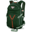Dakine Team Heli Pro 18 L - Women's-Leanne Pelosi