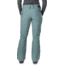 Dakine Westside Insulated Pant - Womens, Balsam, Extra Small, 10001968-BALSAM-91M-XS