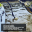 Deeper Smart Chirp 2.0 Fishfinder, Desert Sand, ITGAM0996