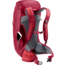 Deuter AC Lite 24 Backpack, Cherry/Masala, 342082455980