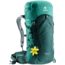 Deuter Speed Lite 24 SL Backpack, Forest/Alpinegreen, 341051822350