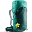 Deuter Speed Lite 30 SL Backpack, Forest/Alpinegreen, 341071822350