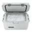 DOMETIC Patrol Insulated Chest, Mist, 35 Qt., 9600028785