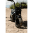 Drift Hero 250W EV Mini Bikes, DH1018