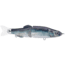 Duckett Fishing BD Glider, Threadfin Shad, 7 in, BDGLIDE7-THREADFIN SHAD