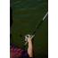 Duckett Fishing Jacob Wheeler Signature Series 2.0 Lt X Fast Spinning Rod, Medium, White/Blue, 6 ft 10 in, DFJWT610ML-S