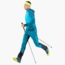 Dynafit Ultra Pro Pole, carbon/methyl blue, Universal, 08-0000048815-782-UNI