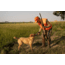 Eberlestock Blaze Orange Vest, Blaze Orange, X, HVHOX