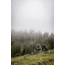 Eberlestock Payette Down Hoody, Mountain, Extra Large, PDMX