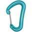 Edelrid Nineteen G Carabiner, Icemint, 738020003290