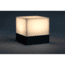 Enevu CUBE Personal LED Light Black