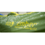 Eno Ember UnderQuilt Hammock Insulation, Evergreen, One Size, A402-136