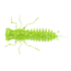 Eurotackle Anisoptera