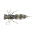 Eurotackle Anisoptera