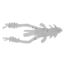 Eurotackle Shrimp-X