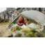 Exped Cassira Tent