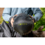 Exped Terra Sleeping Bag